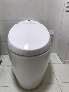 马桶的标准高度与选购指南
